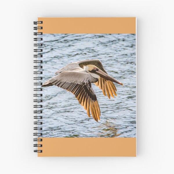 Item preview, Brown Pelican Gliding Over Water designed and sold by Debra Martz.