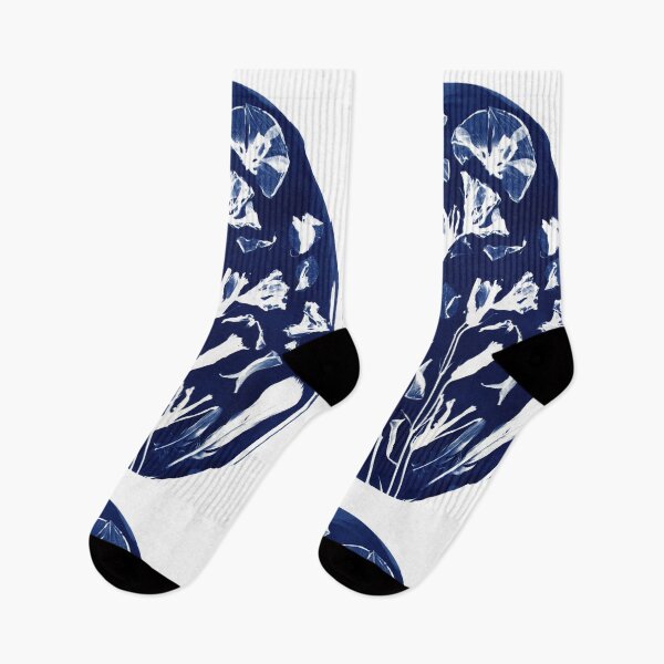 Item preview, Morning Glory & Feathers — Original Cyanotype designed and sold by aydn-tee.