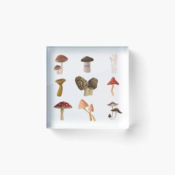 Item preview, Mushroom Madness designed and sold by Kelsea Creations.