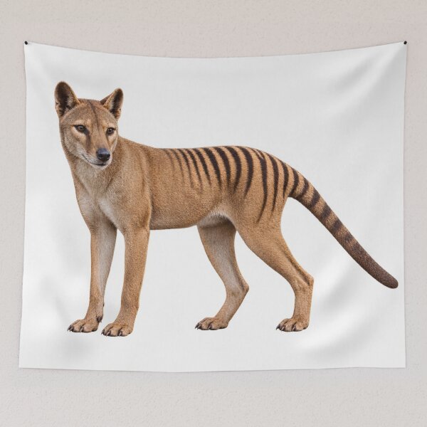 Item preview, Thylacine – Extinct Tasmanian Tiger Portrait designed and sold by Helt-enkelt.