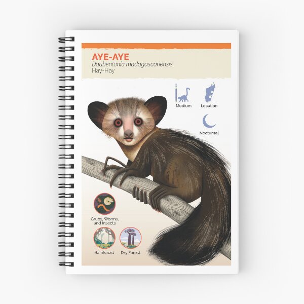 Item preview, Aye-aye lemur flashcard designed and sold by lemurnetwork.
