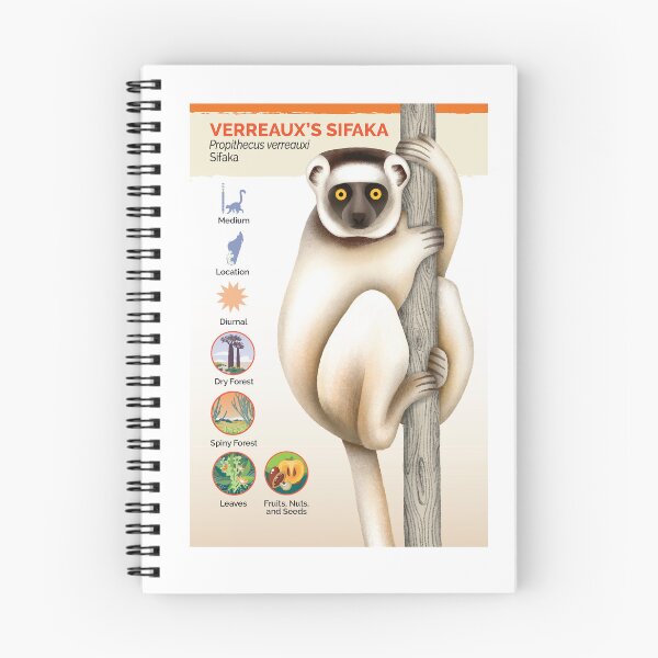 Item preview, Verreaux's sifaka lemur flashcard designed and sold by lemurnetwork.