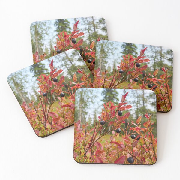 Item preview, Fall color Bilberry Valtavaara 2026 designed and sold by Jouko Lehto Photography.