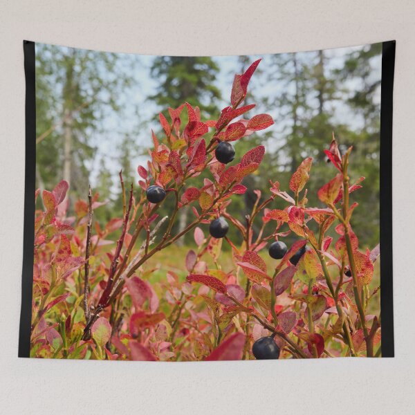 Item preview, Fall color Bilberry Valtavaara 2026 designed and sold by Jouko Lehto Photography.