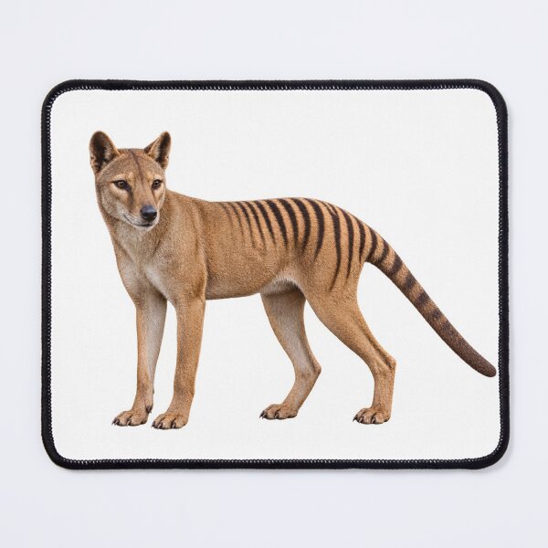 Item preview, Thylacine – Extinct Tasmanian Tiger Portrait designed and sold by Helt-enkelt.
