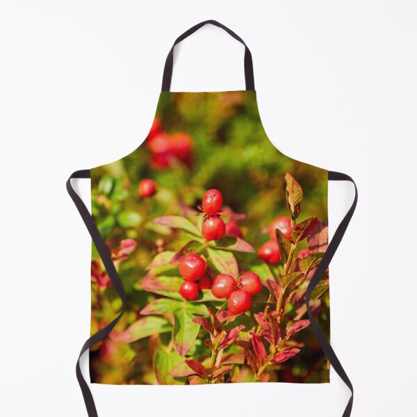 Item preview, Early fall Dwarf Cornel Valtavaara designed and sold by Jouko Lehto Photography.