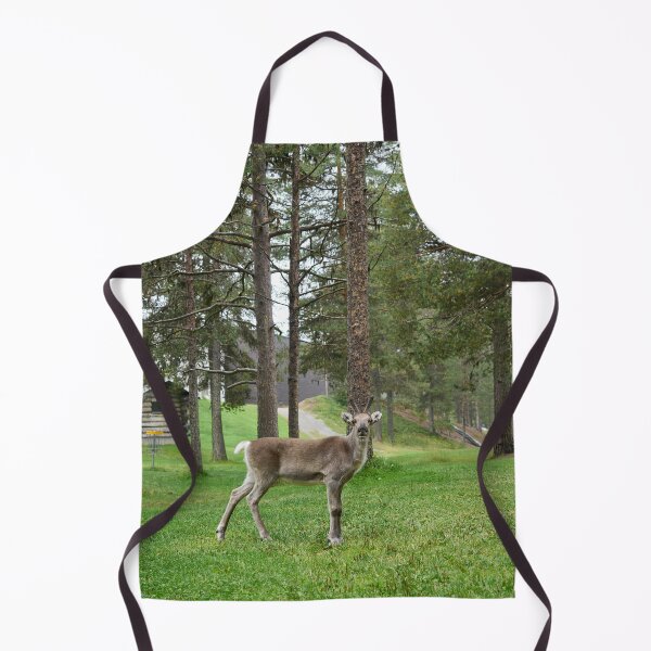 Item preview, Renos curiosos, Kuusamo 2026 designed and sold by Jouko Lehto Photography.