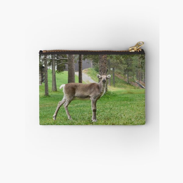 Item preview, Curious reindeer, Kuusamo 2026 designed and sold by Jouko Lehto Photography.