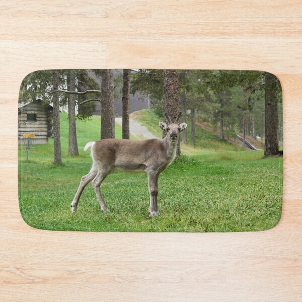 Item preview, Curious reindeer, Kuusamo 2026 designed and sold by Jouko Lehto Photography.