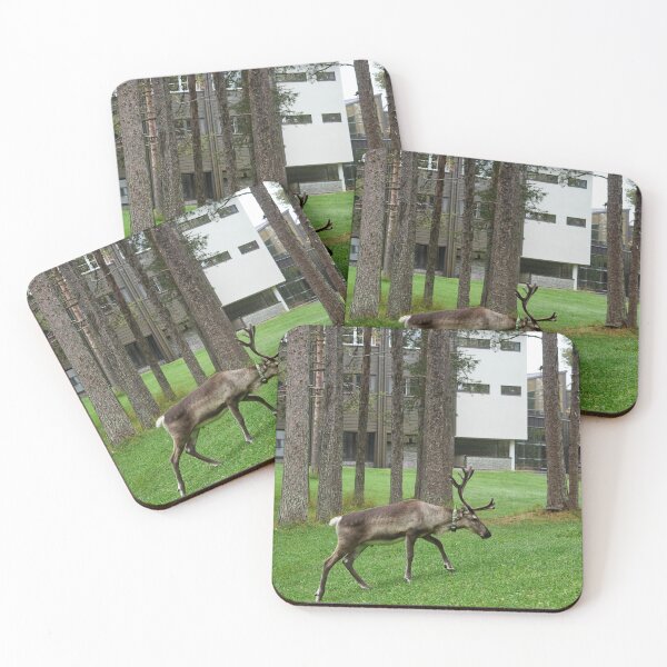 Item preview, Locator. Reindeer  Kuusamo 2026 designed and sold by Jouko Lehto Photography.