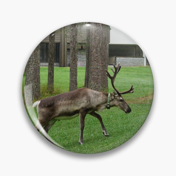 Item preview, Locator. Reindeer  Kuusamo 2026 designed and sold by Jouko Lehto Photography.