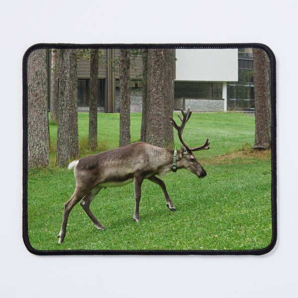 Item preview, Locator. Reindeer Kuusamo 2026 designed and sold by Jouko Lehto Photography.