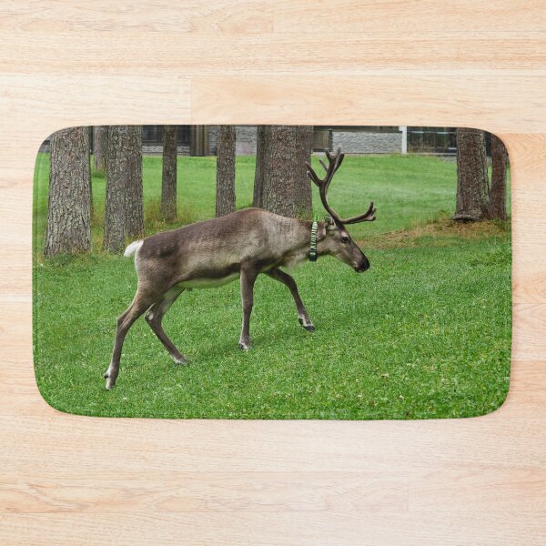 Item preview, Locator. Reindeer  Kuusamo 2026 designed and sold by Jouko Lehto Photography.