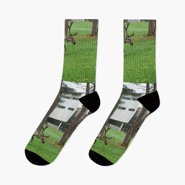 Item preview, Locator. Reindeer  Kuusamo 2026 designed and sold by Jouko Lehto Photography.