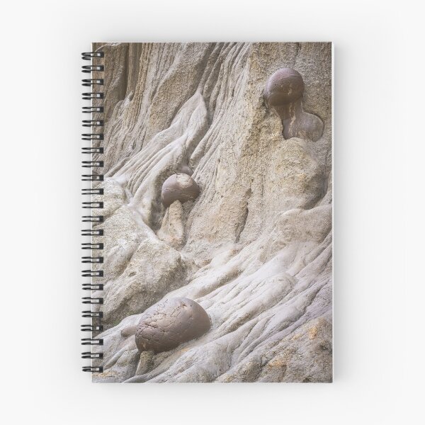 Item preview, Cannonball Concretions Theodore Roosevelt National Park North Dakota designed and sold by PhotoArt by Joan Carroll.