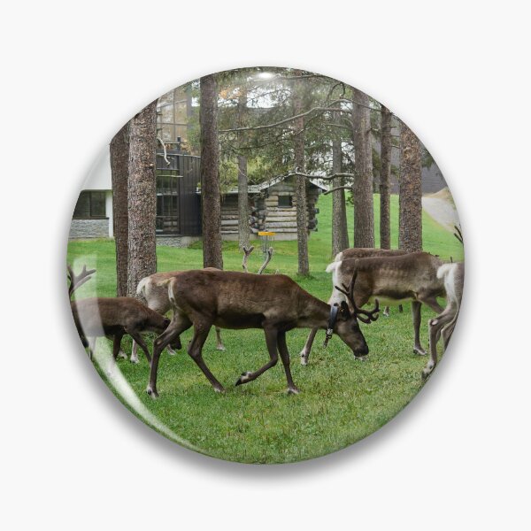 Item preview, Breakfast company on disc golf  club. Reindeers Kuusamo 2026 designed and sold by Jouko Lehto Photography.