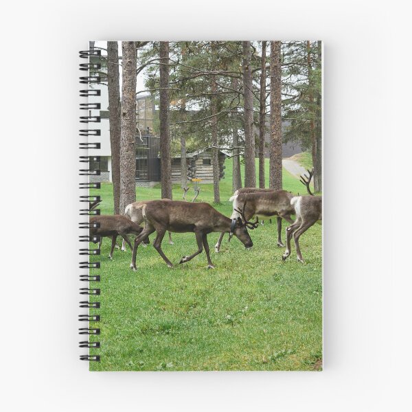 Item preview, Breakfast company on disc golf  club. Reindeers Kuusamo 2026 designed and sold by Jouko Lehto Photography.