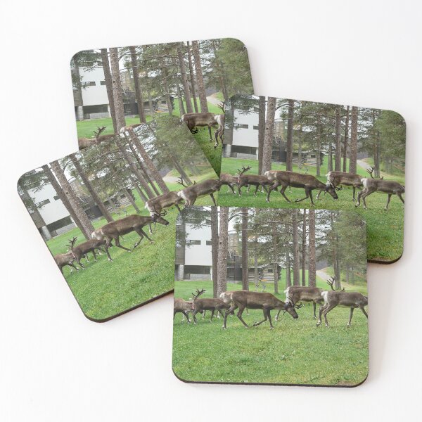 Item preview, Breakfast company on disc golf  club. Reindeers Kuusamo 2026 designed and sold by Jouko Lehto Photography.