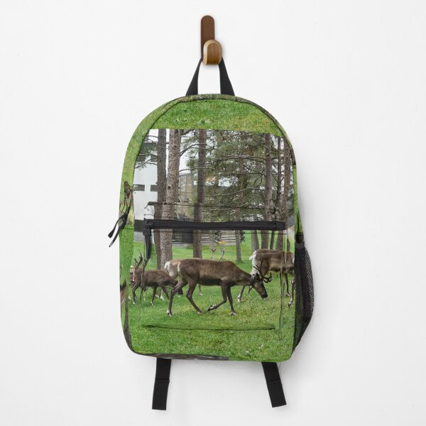 Item preview, Breakfast company on disc golf club. Reindeers Kuusamo 2026 designed and sold by Jouko Lehto Photography.