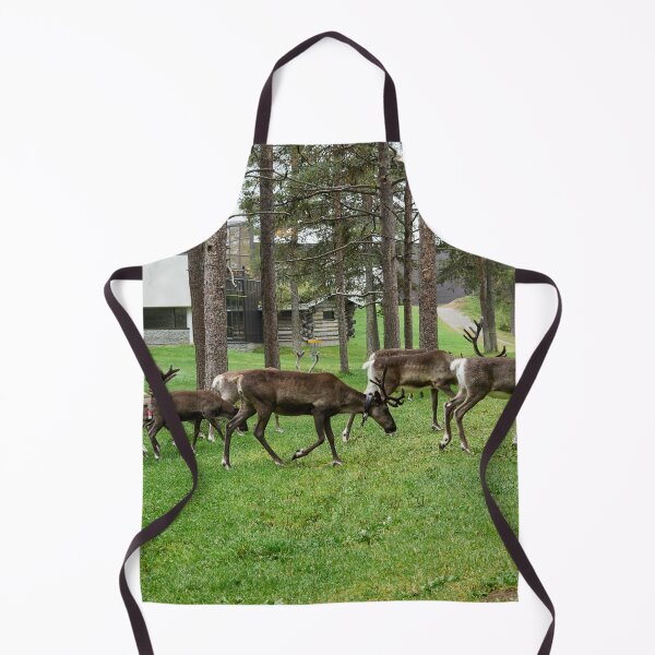 Item preview, Compañía de desayuno en club de disc golf. Renos Kuusamo 2026 designed and sold by Jouko Lehto Photography.