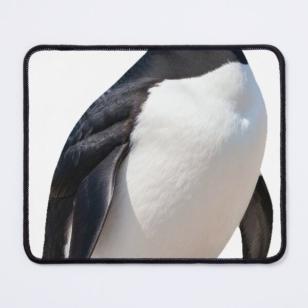 Item preview, Great Auk – Extinct Flightless Seabird Portrait designed and sold by Helt-enkelt.