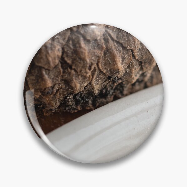 Item preview, Who Dropped This in Here? designed and sold by ASSEMBLE WONDER.