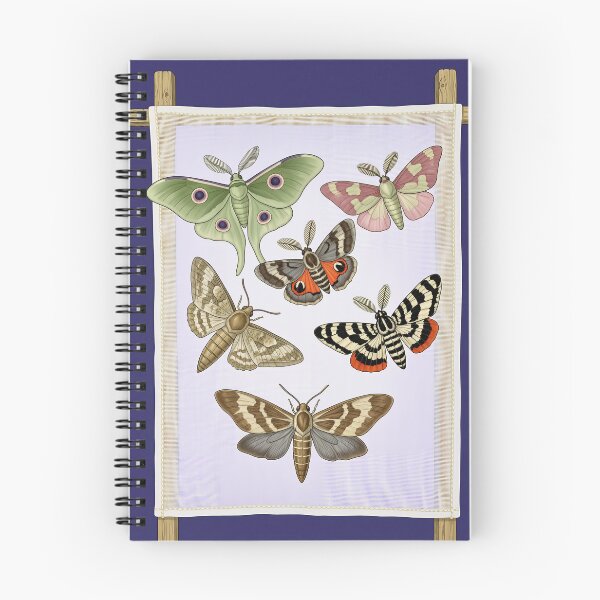 Item preview, Moth Night Watcher Entomology Illustration designed and sold by DIUMERI.
