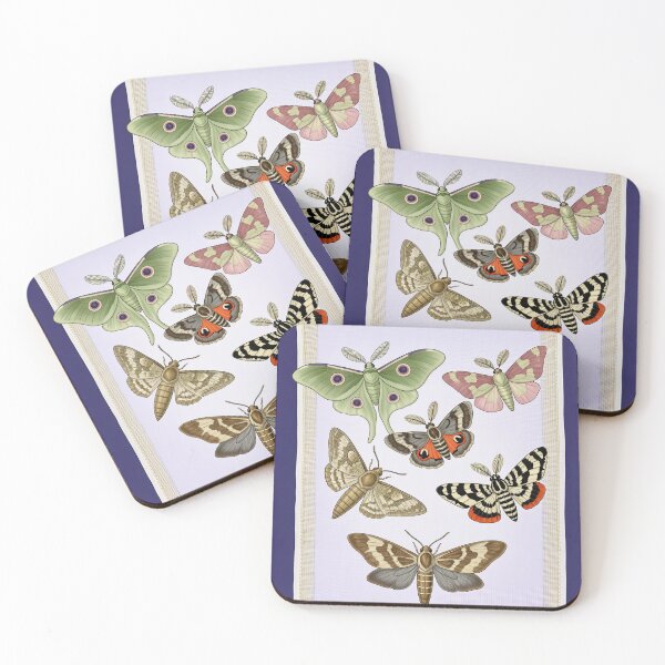 Item preview, Moth Night Watcher Entomology Illustration designed and sold by DIUMERI.