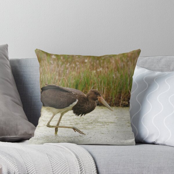 Item preview, Tread lightly  designed and sold by miradorpictures.