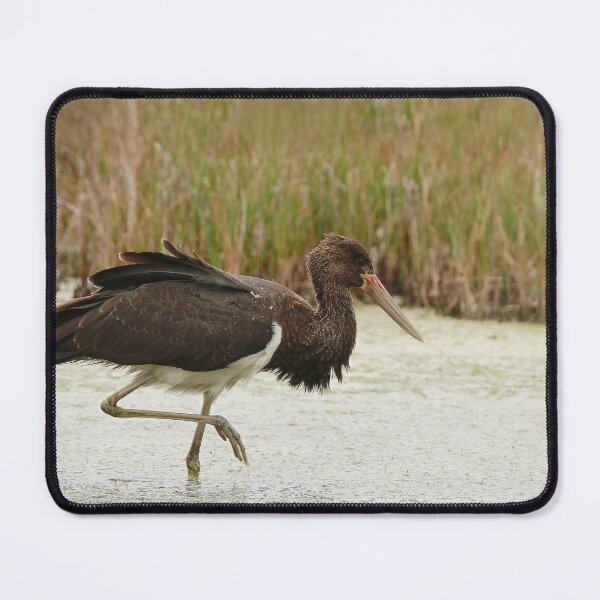 Item preview, Wet wader designed and sold by miradorpictures.