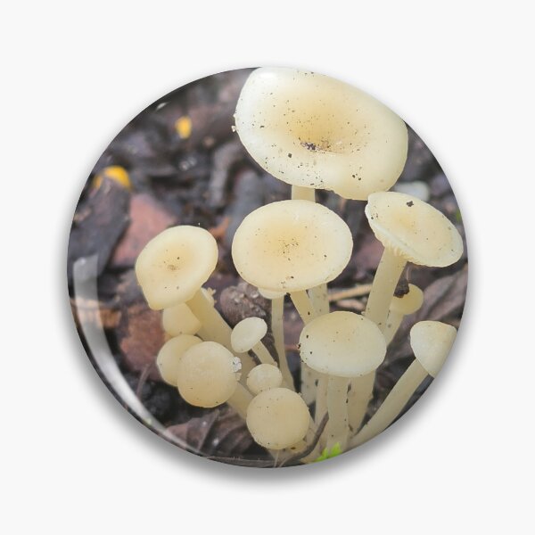 Item preview, Mushroom Cluster designed and sold by JustCritters.