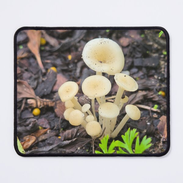 Item preview, Mushroom Cluster designed and sold by JustCritters.