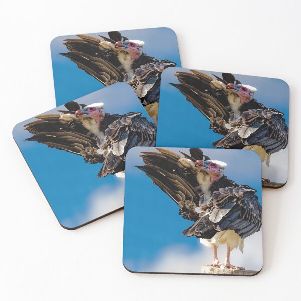 Item preview, White Headed Vulture designed and sold by Geordie Jason.