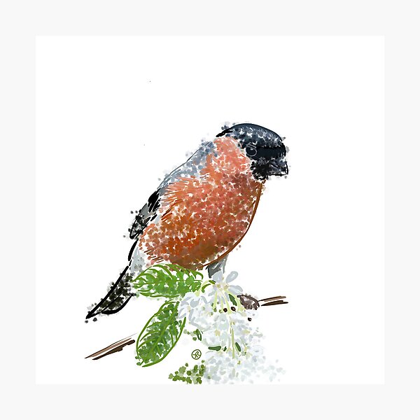 Item preview, Bullfinch on flowering branch designed and sold by TruemmerLiebe.