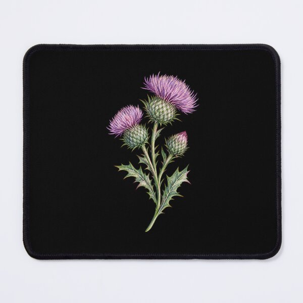 Item preview, Scottish Thistle Sticker Watercolor Botanical Scotland Floral Art designed and sold by ArcanePrintsxo.