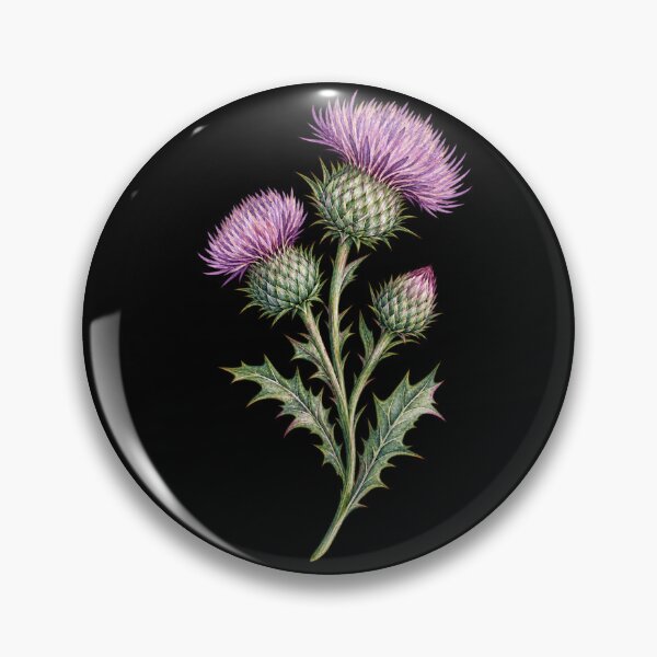 Item preview, Scottish Thistle Sticker Watercolor Botanical Scotland Floral Art designed and sold by ArcanePrintsxo.