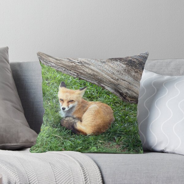 Item preview, Fox Resting on Green Grass designed and sold by Edify-.