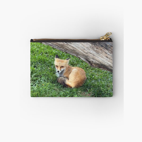 Item preview, Fox Resting on Green Grass designed and sold by Edify-.