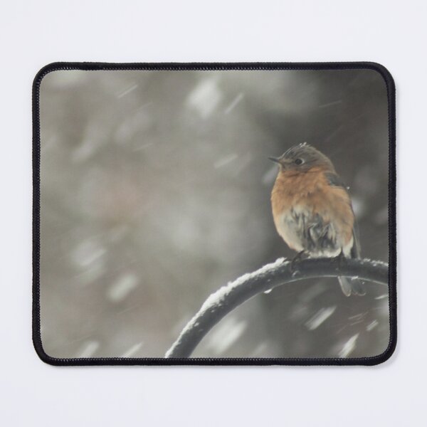 Item preview, Female Bluebird in Snow designed and sold by Perspective Wings.