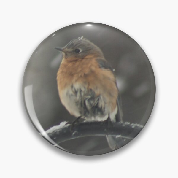 Item preview, Female Bluebird in Snow designed and sold by Perspective Wings.