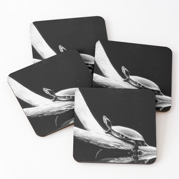 Item preview, Black and White: Pond Turtle designed and sold by DDLeach.