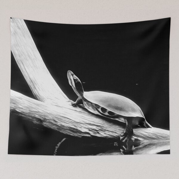 Item preview, Black and White: Pond Turtle designed and sold by DDLeach.