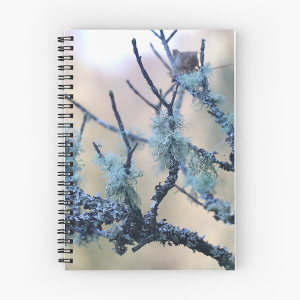 Item preview, Lichen on a branch designed and sold by Thistle Images.