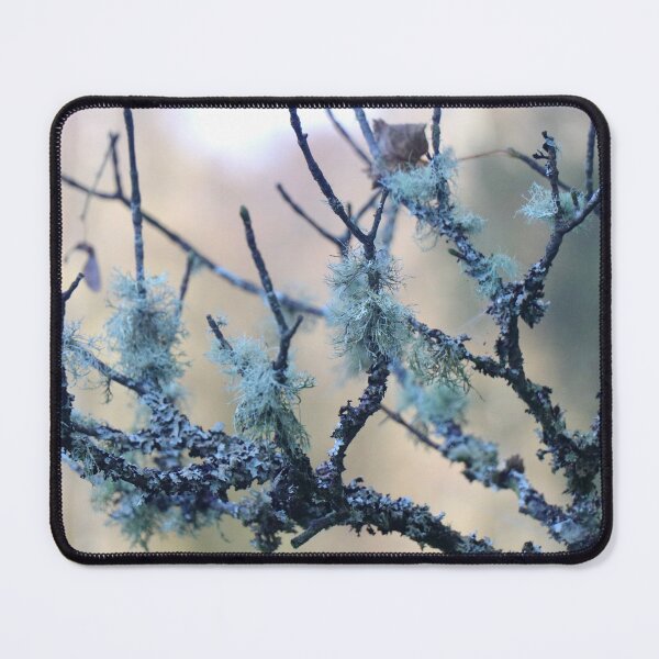 Item preview, Lichen on a branch designed and sold by Thistle Images.