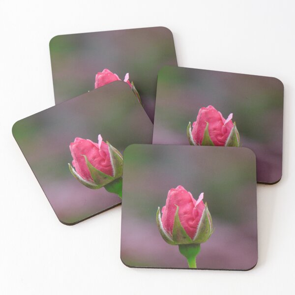 Item preview, Beautiful Rose Bud designed and sold by Thistle Images.