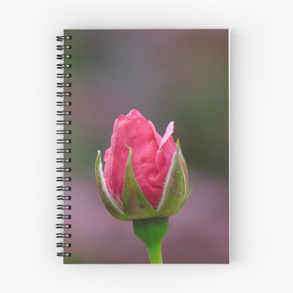 Item preview, Beautiful Rose Bud designed and sold by Thistle Images.