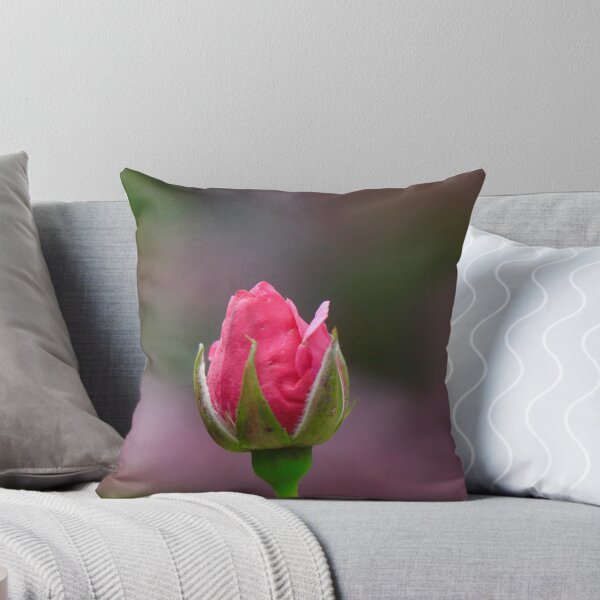 Item preview, Beautiful Rose Bud designed and sold by Thistle Images.