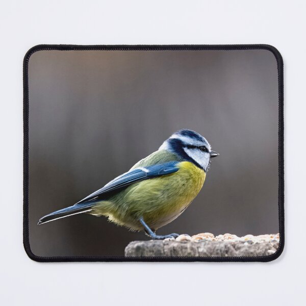 Item preview, The Eurasian Blue Tit (Cyanistes caeruleus). designed and sold by Vine Photographic.