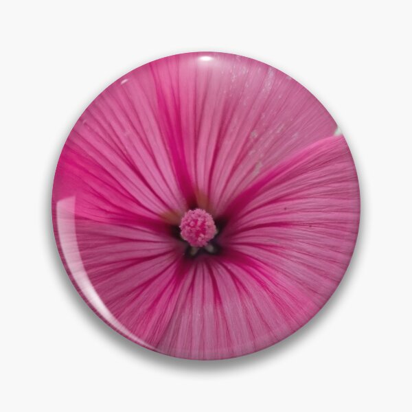 Item preview, MALVA LOVE designed and sold by Shoreline Photography .