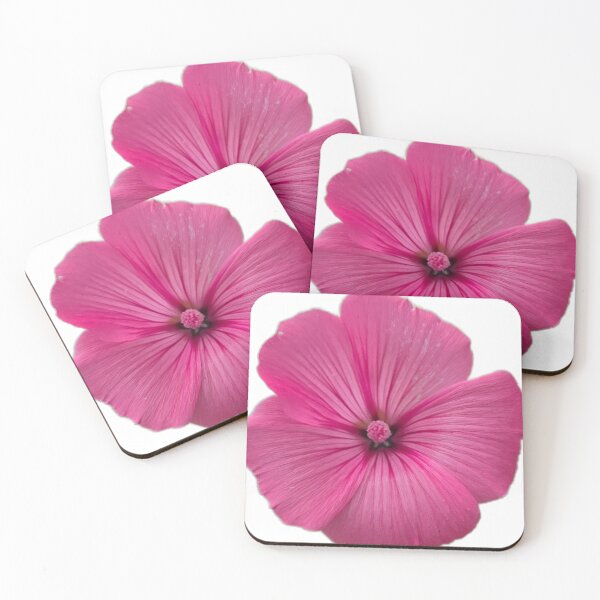 Item preview, MALVA LOVE designed and sold by Shoreline Photography .